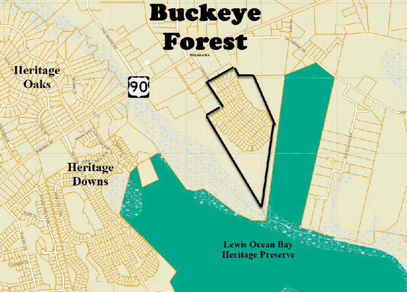 New home community of Buckete Forest in Conway developed by D. R. Horton